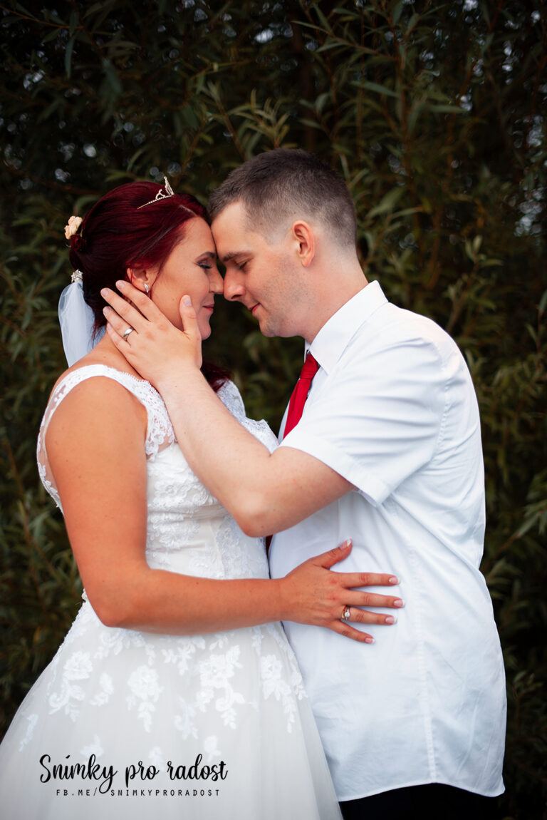 Novomanželský portrét